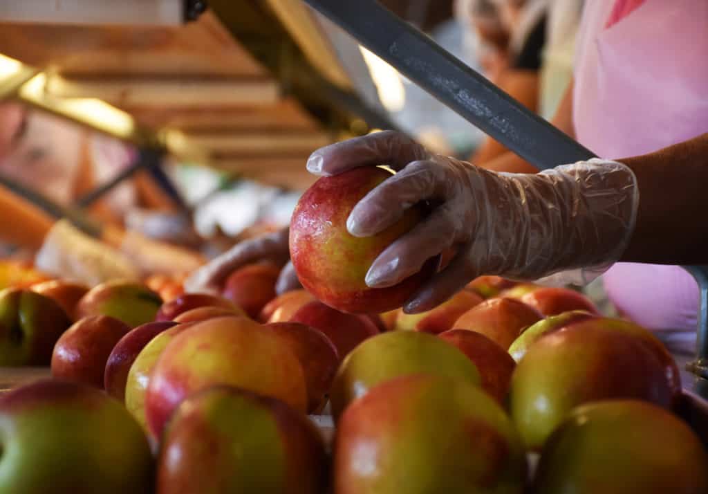 Find Fresh-Picked Peach Perfection at Dickey Farms – Macon Magazine